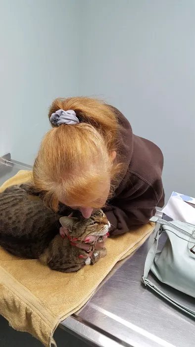Clinton Veterinary Clinic Iowa: Drs. Eslick, Kemmerer, & Aman 3