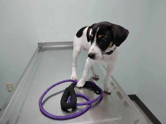 Clinton Veterinary Clinic Iowa: Drs. Eslick, Kemmerer, & Aman 6