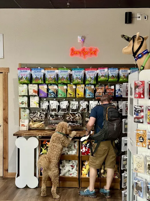 The Downhill Dog 6
