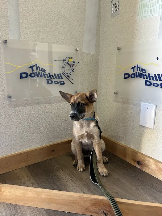 The Downhill Dog 7