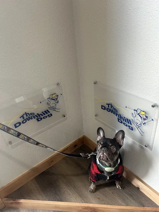 The Downhill Dog 9
