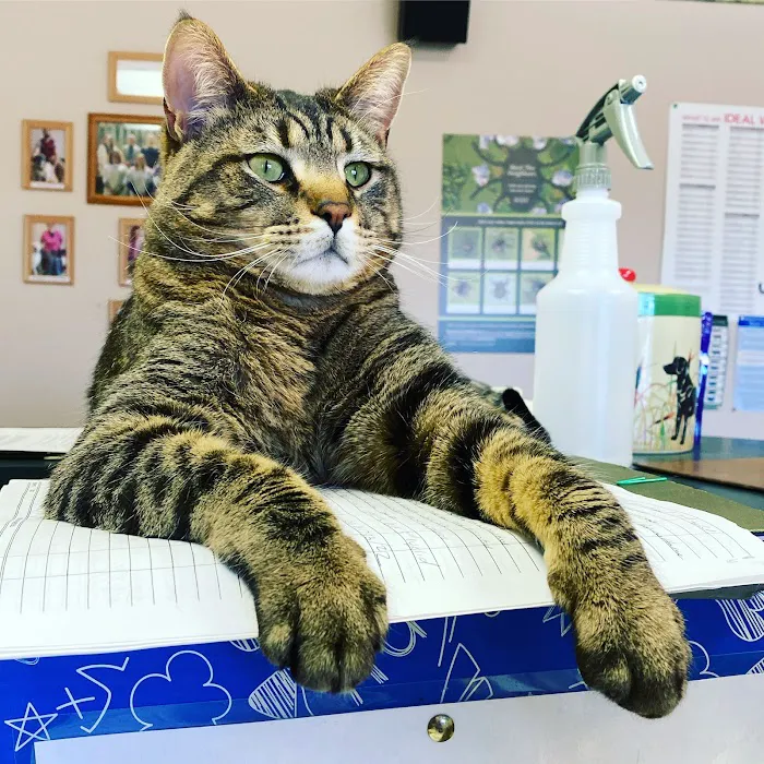 Camanche Veterinary Clinic 12
