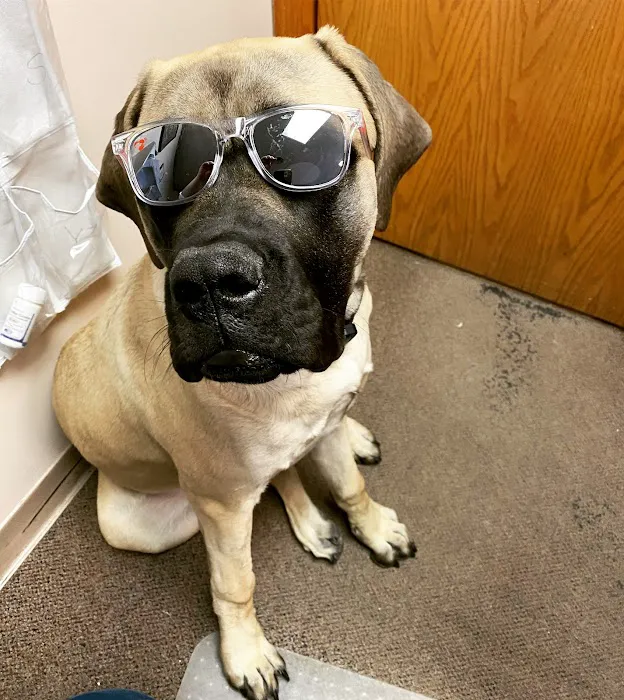 Camanche Veterinary Clinic 12