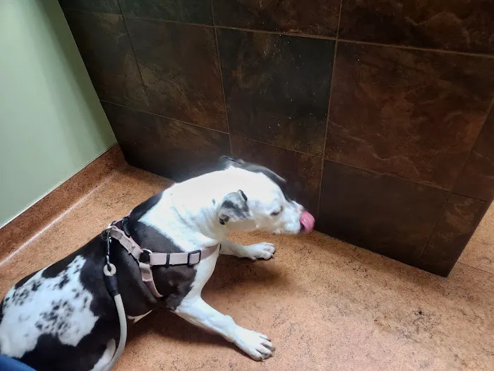 Lena Veterinary Clinic 1