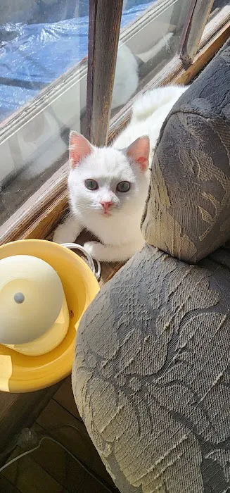 Lena Veterinary Clinic 3