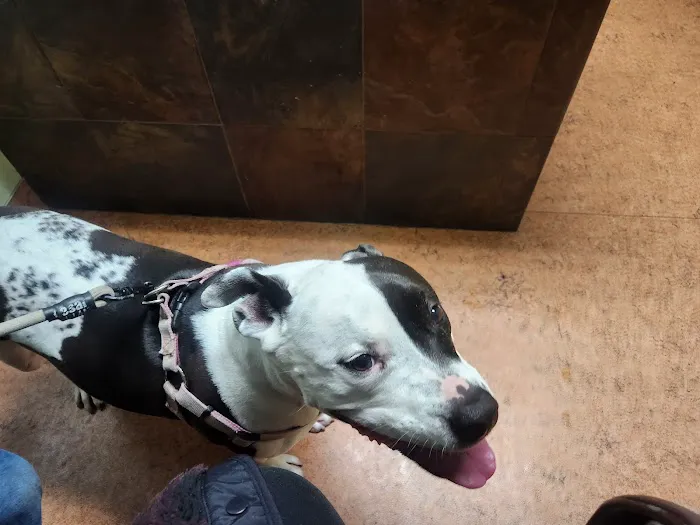Lena Veterinary Clinic 8