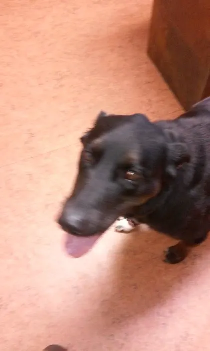 Lena Veterinary Clinic 5