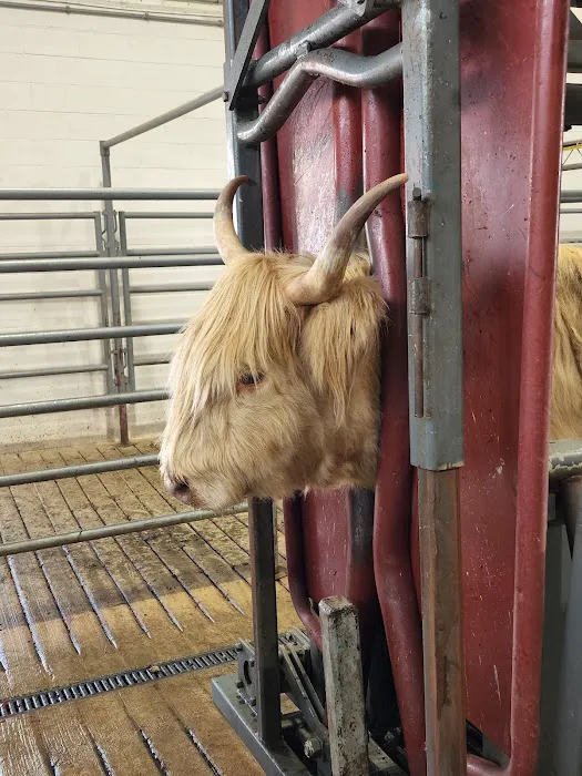 Brodhead Veterinary Medical Center 4