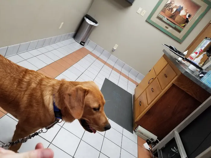 Brodhead Veterinary Medical Center 2