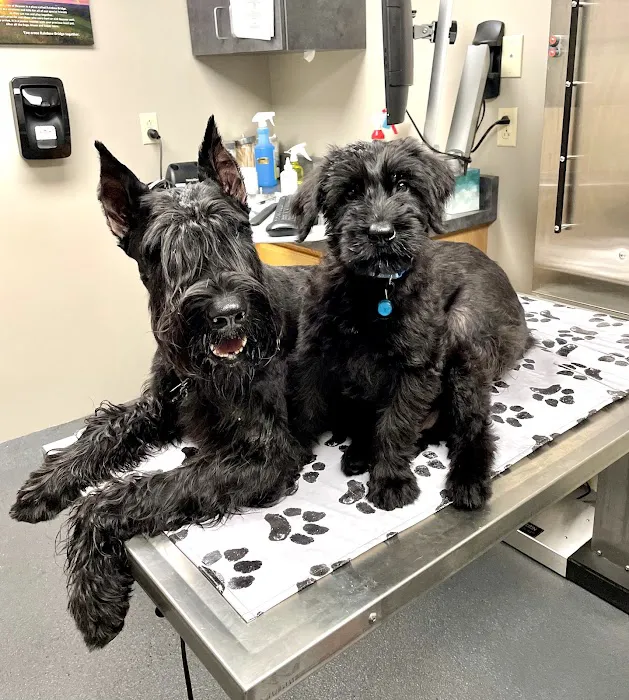 Brodhead Veterinary Medical Center 7
