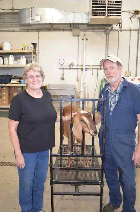 Brodhead Veterinary Medical Center 6