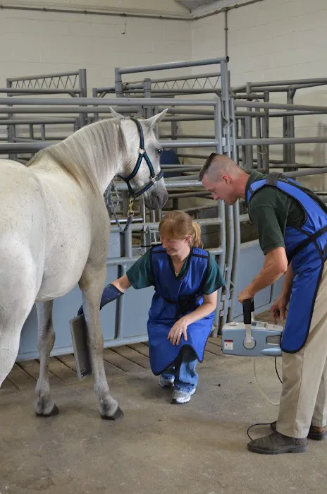 Brodhead Veterinary Medical Center 9