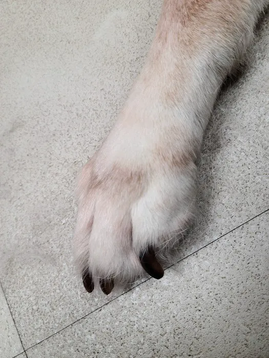 Brodhead Veterinary Medical Center 2