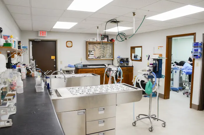 Brodhead Veterinary Medical Center 4