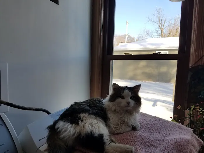 Argyle Veterinary Service SC 3