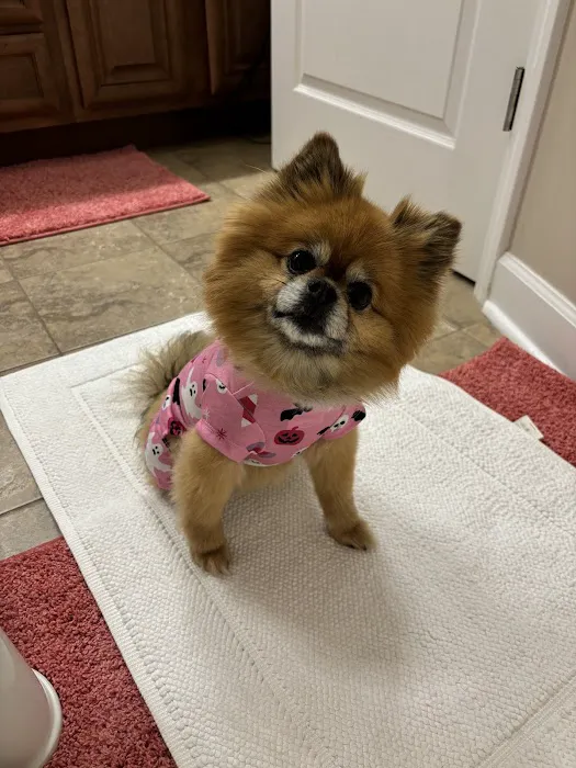 Harrisonburg Animal Hospital 12