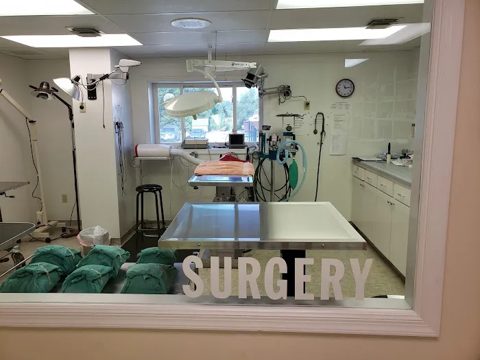 Harrisonburg Animal Hospital 12