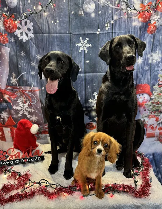 Harrisonburg Animal Hospital 12