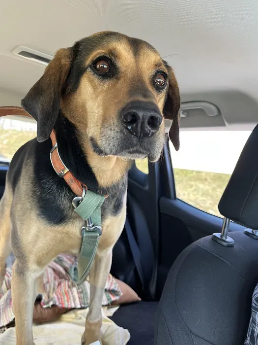 Harrisonburg Animal Hospital 12