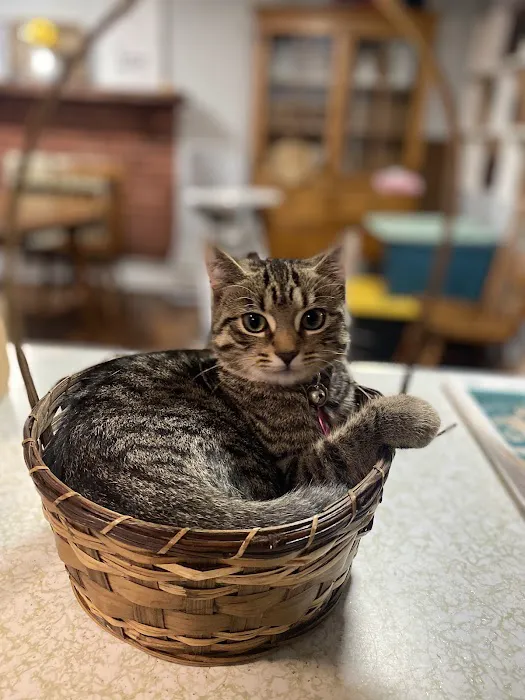 Harrisonburg Animal Hospital 12