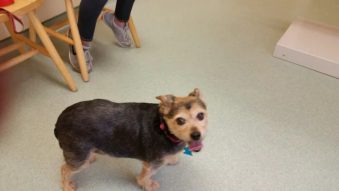 Green Meadows Veterinary Services 8