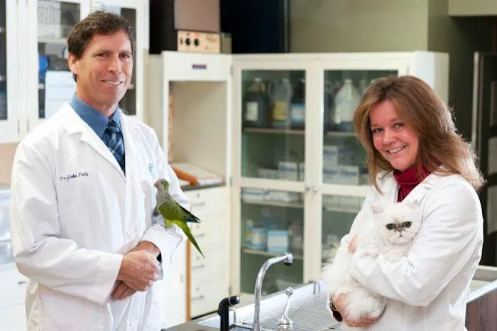 Valley Veterinary Hospital 12