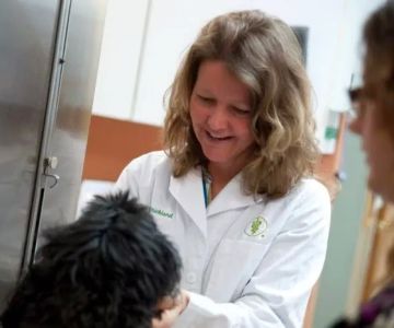 Valley Veterinary Hospital