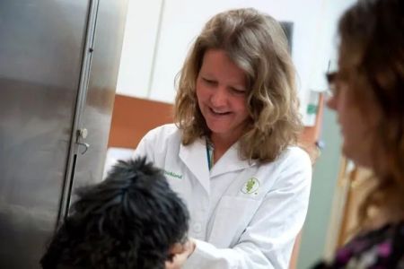 Valley Veterinary Hospital