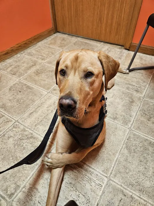 Lost River Animal Hospital 12