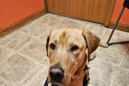 Lost River Animal Hospital
