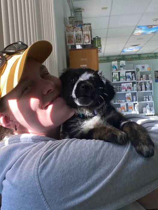 Heartland Veterinary Clinic: Anderson Emily DVM 12
