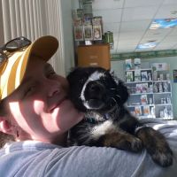 Heartland Veterinary Clinic: Anderson Emily DVM ico