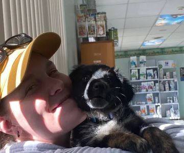 Heartland Veterinary Clinic: Anderson Emily DVM