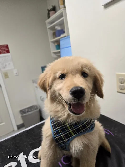 Heartland Veterinary Clinic 12