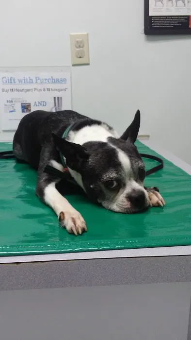 Heartland Veterinary Clinic 12