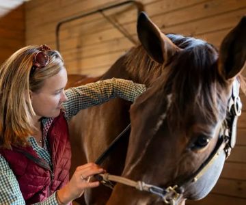 Riverbend Equine Veterinary Services