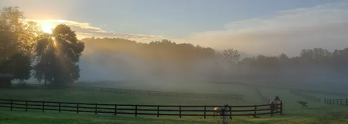 Riverbend Equine Veterinary Services 9