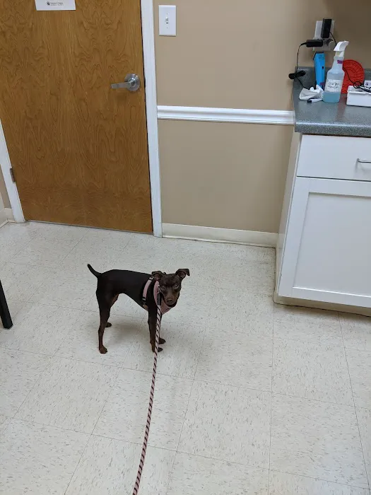 Preddy Creek Animal Clinic 3