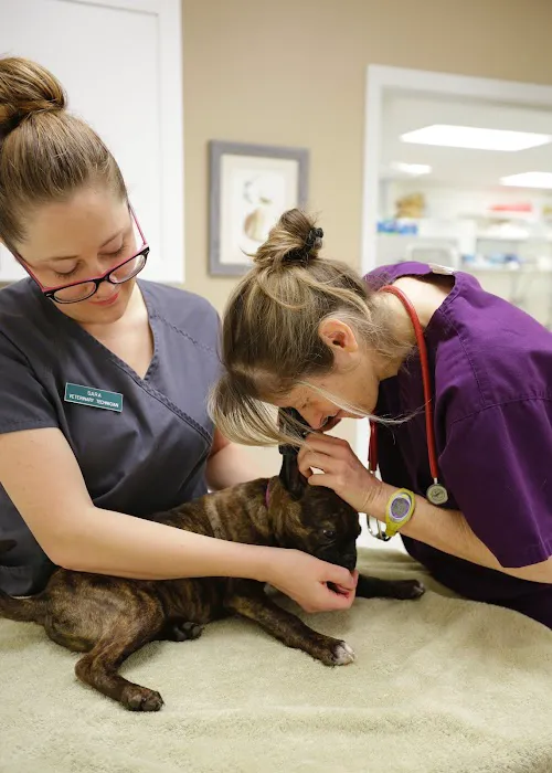 Preddy Creek Animal Clinic 4