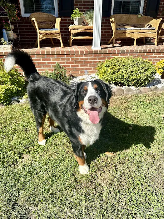 Preddy Creek Animal Clinic 9