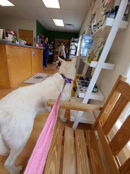 Preddy Creek Animal Clinic 1