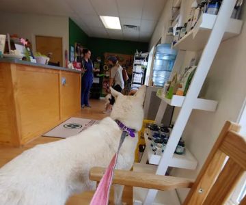 Preddy Creek Animal Clinic