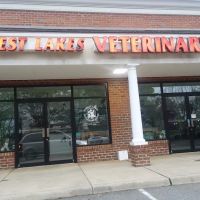 Forest Lakes Veterinary Clinic ico