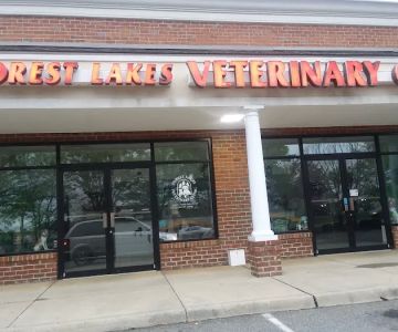 Forest Lakes Veterinary Clinic