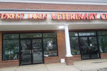 Forest Lakes Veterinary Clinic