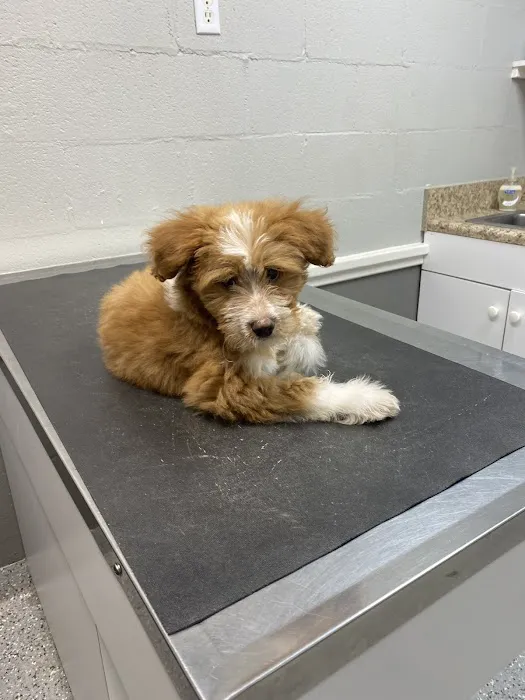 Fork Union Animal Clinic 2