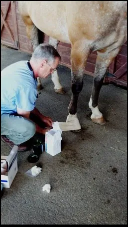 James River Equine Services - 1719 Yorktown DR Charlottesville 1