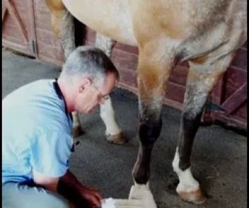 James River Equine Services - 1719 Yorktown DR Charlottesville
