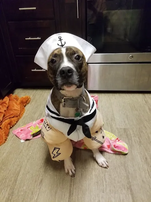 Charlottesville Veterinary Hsp: 5