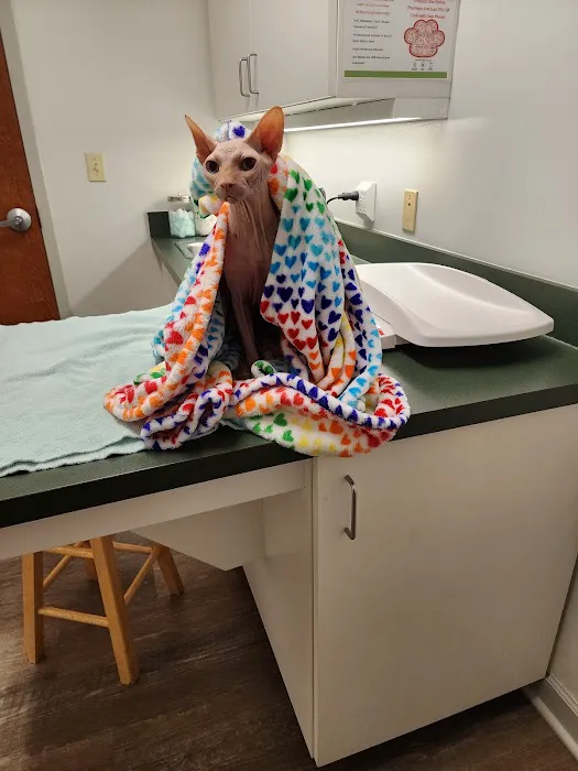 Charlottesville Veterinary Hsp: 8